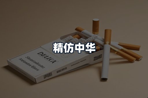 精仿中华
